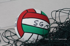 IMG_7483