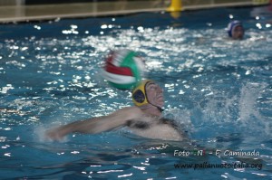 IMG_8706