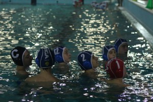 IMG_8963 (1024x683)