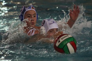 IMG_9095 (1024x683)
