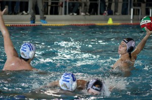 IMG_2309 (1024x679)