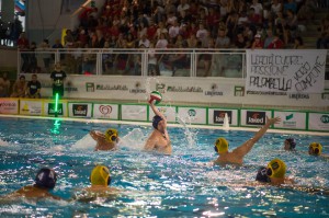 Finale Master 2015 Palombella - Bentegodi
