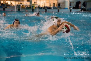 _ffc1392