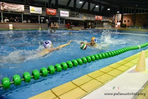 _ffc3295