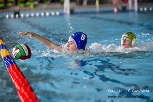 _FFC1695