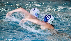 PNI_IMG_7591 (1024x599)