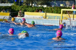 _FFC1148